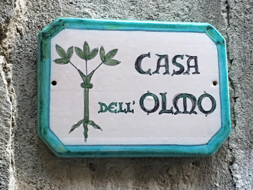 Casa Dell'Olmo Apartment Орвието Екстериор снимка